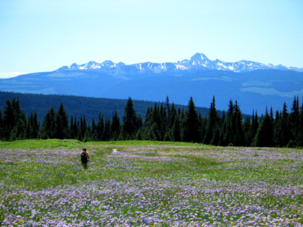 Hiking in Wells Gray Park